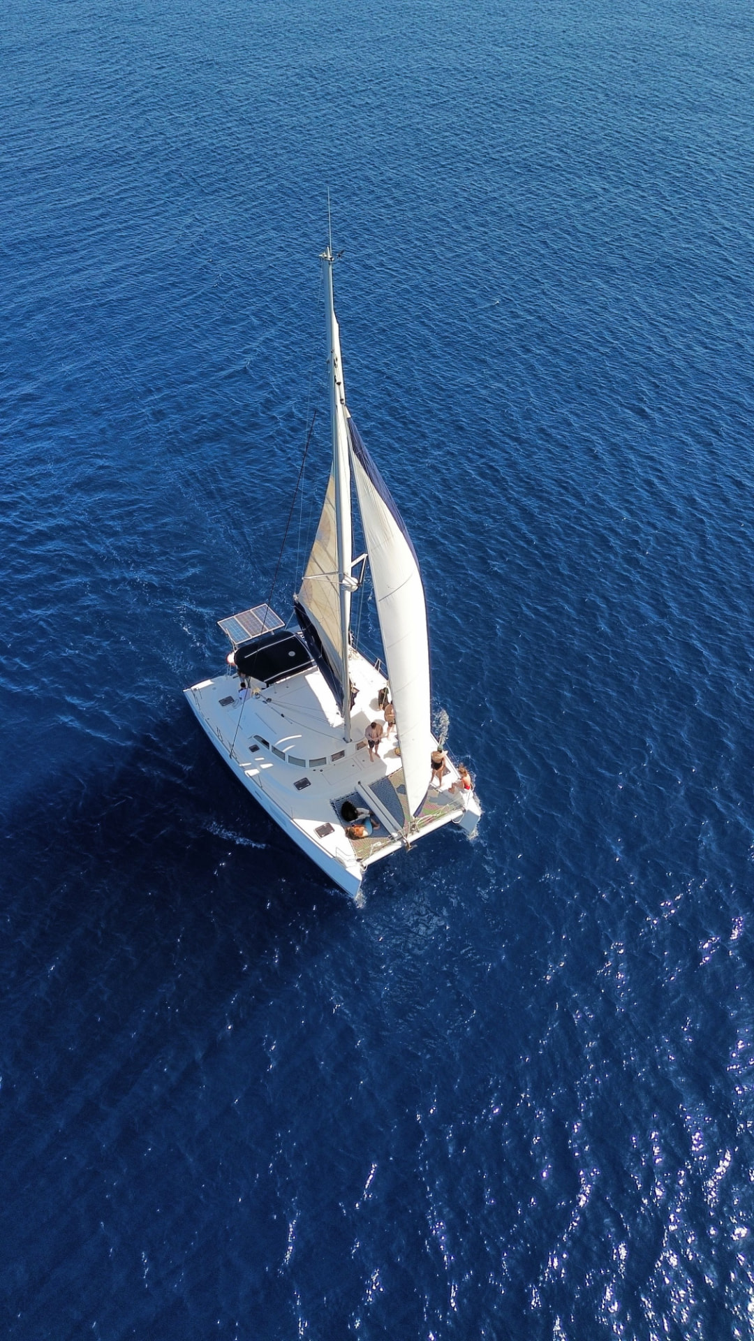 Catamaran naviguant sur le Léman pour une sortie privée